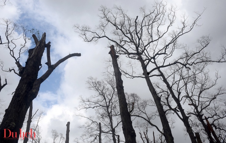 Tiểu chủng viện Làng Sông ở Gia Lai xơ xác sau bão - 6