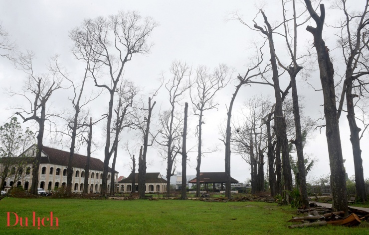 Tiểu chủng viện Làng Sông ở Gia Lai xơ xác sau bão - 8