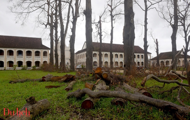 Tiểu chủng viện Làng Sông ở Gia Lai xơ xác sau bão - 9