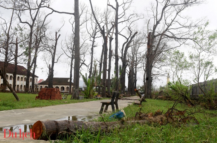 Tiểu chủng viện Làng Sông ở Gia Lai xơ xác sau bão - 12