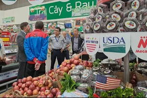 Sau trái cây đến sò điệp, ốc kèn, cua hoàng đế Mỹ vào Việt Nam nhiều