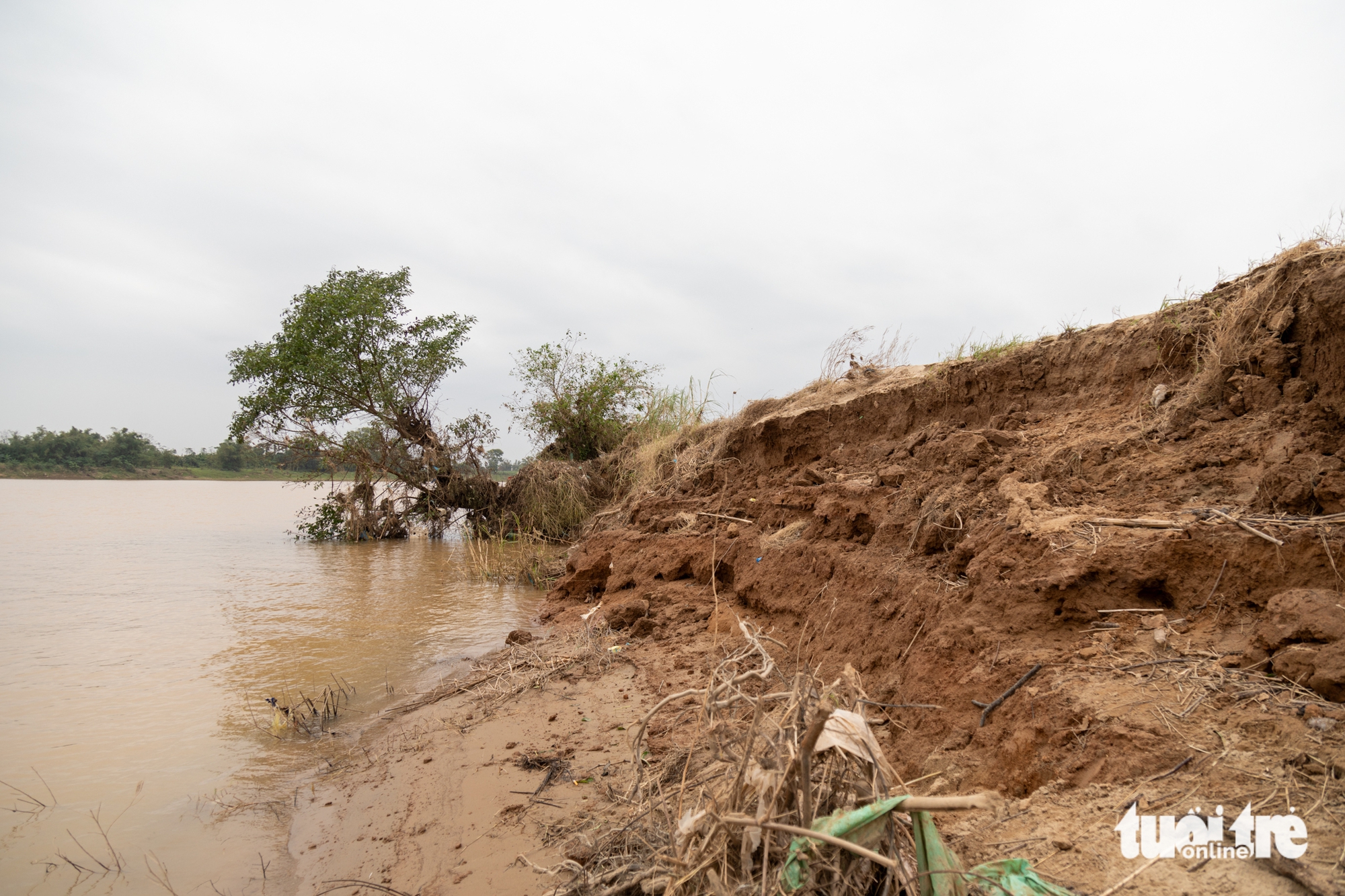 cát tặc - Ảnh 3.