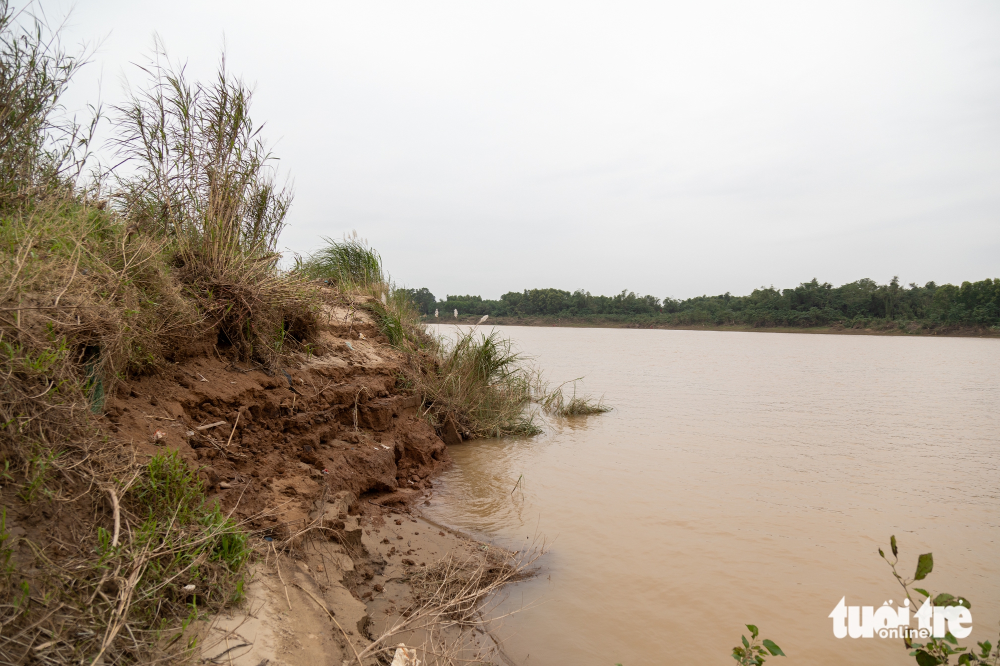 Vụ cát tặc trên sông Thạch Hãn: Chủ bãi tập kết từng cam kết không nhập cát lậu, không được bán cát - Ảnh 4.