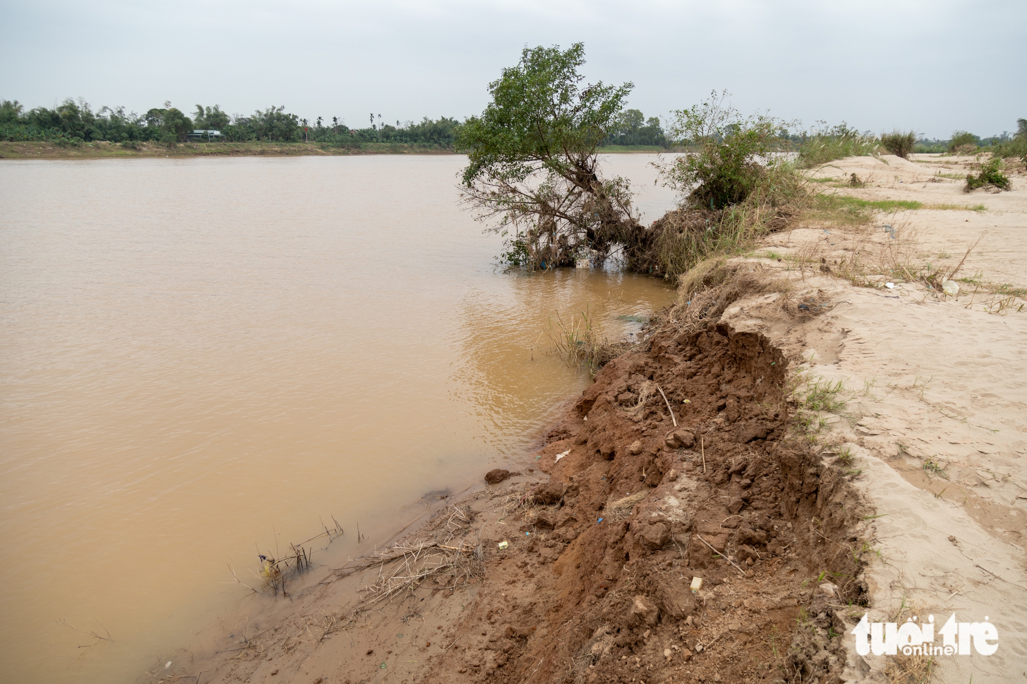 cát tặc - Ảnh 5.
