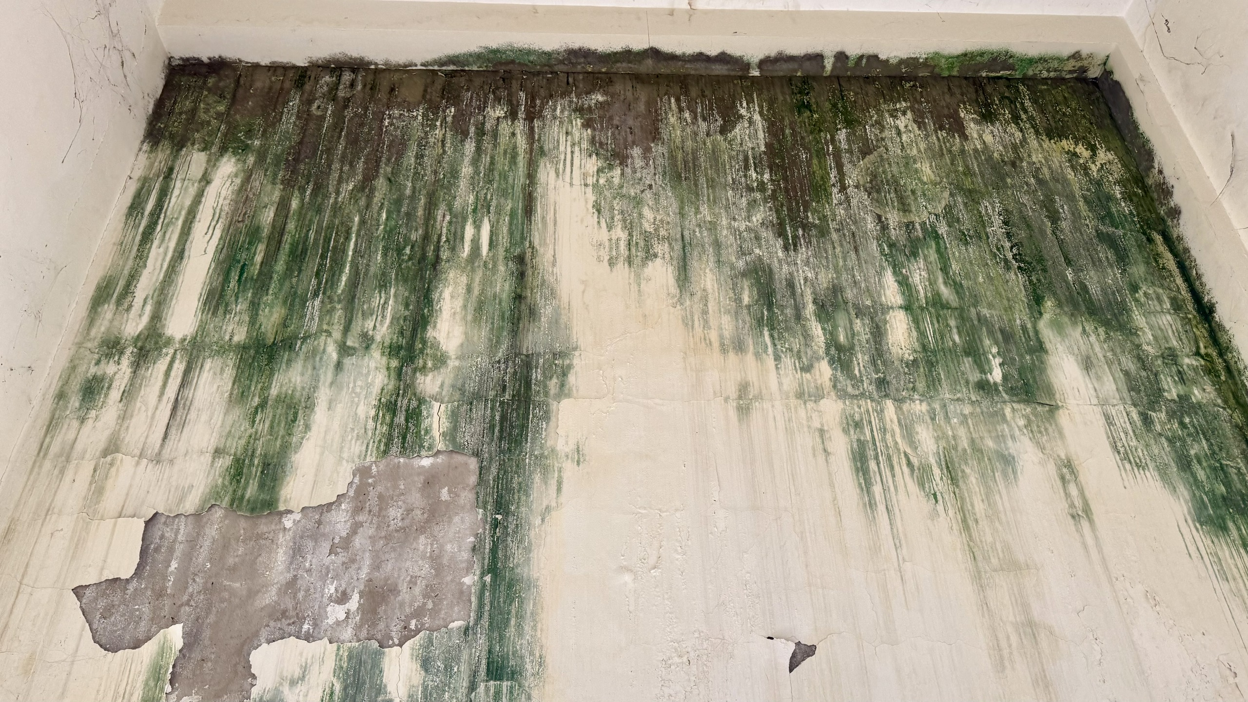 Xây dựng 150 tỉ đồng, khoa phụ sản chưa sử dụng đã hư hỏng 4 TP.HCM: Khoa phụ sản Bệnh viện đa khoa Bình Dương hư hỏng, dột nát nghiêm trọng - Ảnh 4.