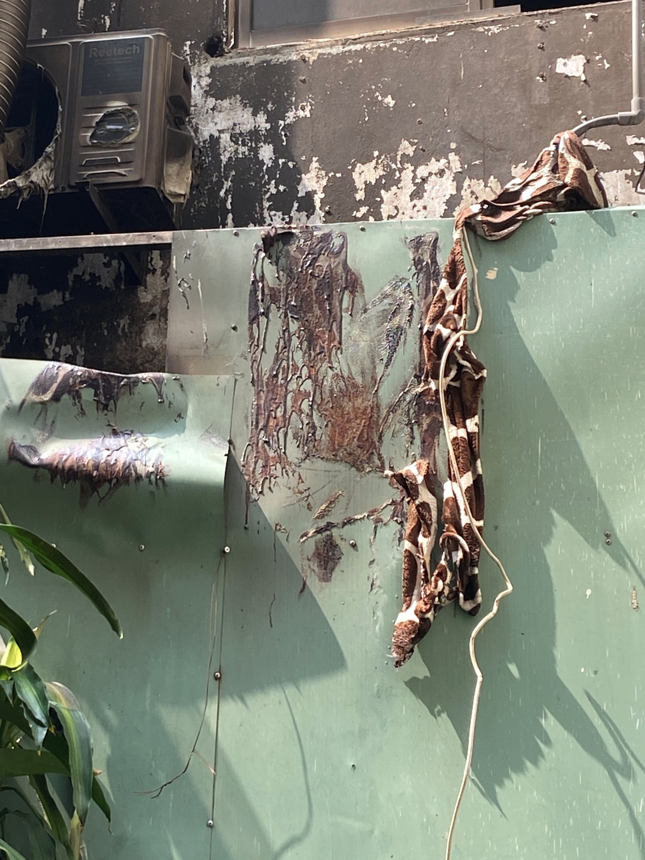 Vụ cháy 4 người chết ở TP.HCM: Một câu nói khiến cô gái quyết định nhảy từ tầng 3 xuống đất!- Ảnh 2.