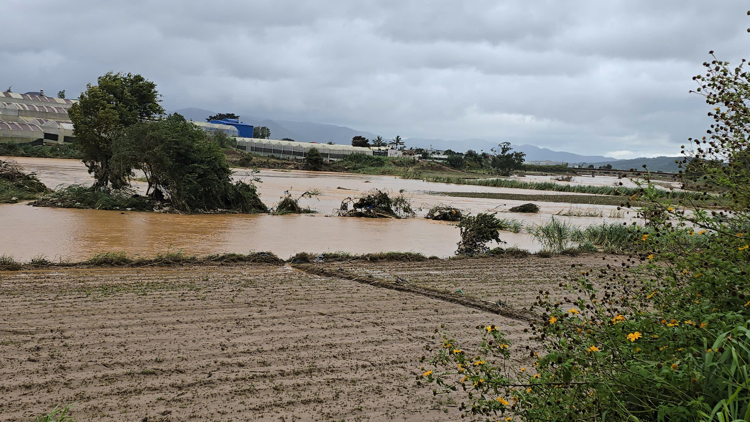 Vì sao mưa lũ gây thiệt hại lớn ở Lâm Đồng? - Ảnh 8.