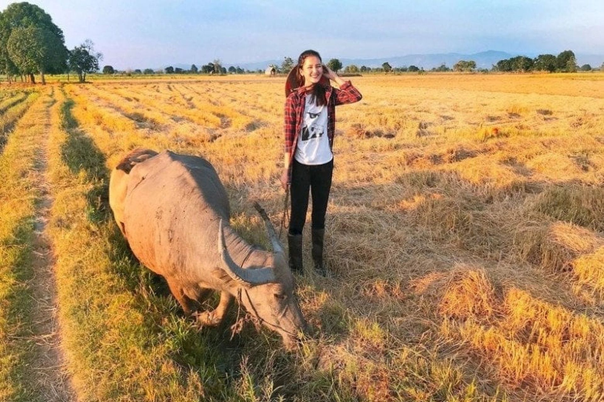 Á hậu Hương Ly: Tuổi thơ chăn trâu, bất ngờ lên xe hoa với chồng doanh nhân - 7 Á hậu Hương Ly: Tuổi thơ chăn trâu, bất ngờ lên xe hoa với chồng doanh nhân - 7