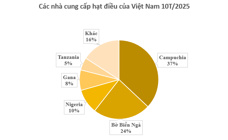 Cứu tinh từ châu Phi đổ bộ giúp Việt Nam xuất khẩu bỏ xa cả thế giới: Nước ta chi hàng tỷ USD mỗi năm để mua hàng, được người Mỹ cực kỳ ưa chuộng- Ảnh 2.