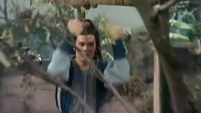 Huỳnh Nhật Hoa tái diễn Hàng long thập bát chưởng