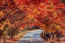 Jeonbuk - điểm đến 'chữa lành', tránh xa ồn ào ở Hàn Quốc