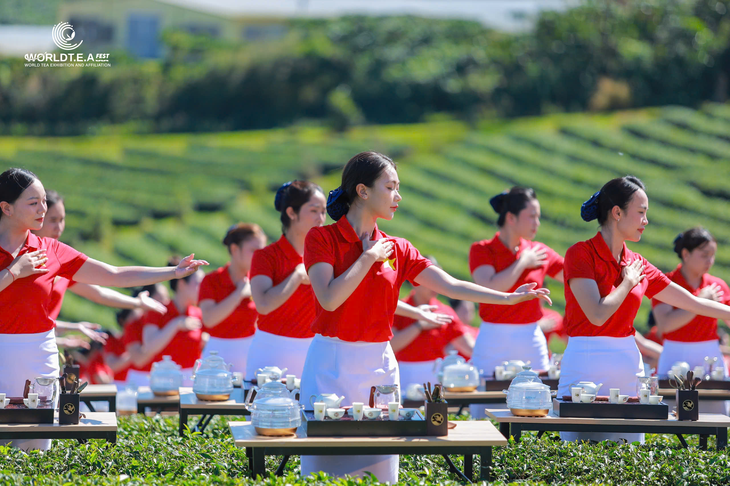 Bàn về văn hóa, ngoại giao trà- Ảnh 6. Bàn về văn hóa, ngoại giao trà- Ảnh 6.
