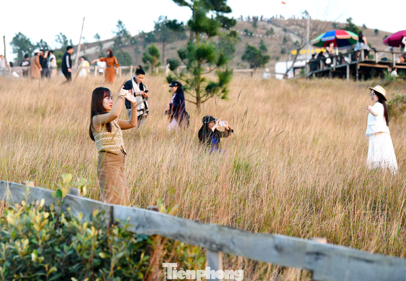 Du khách đổ xô đi cắm trại, check-in ở đồi cỏ phủ màu 'siêu thực'- Ảnh 5.