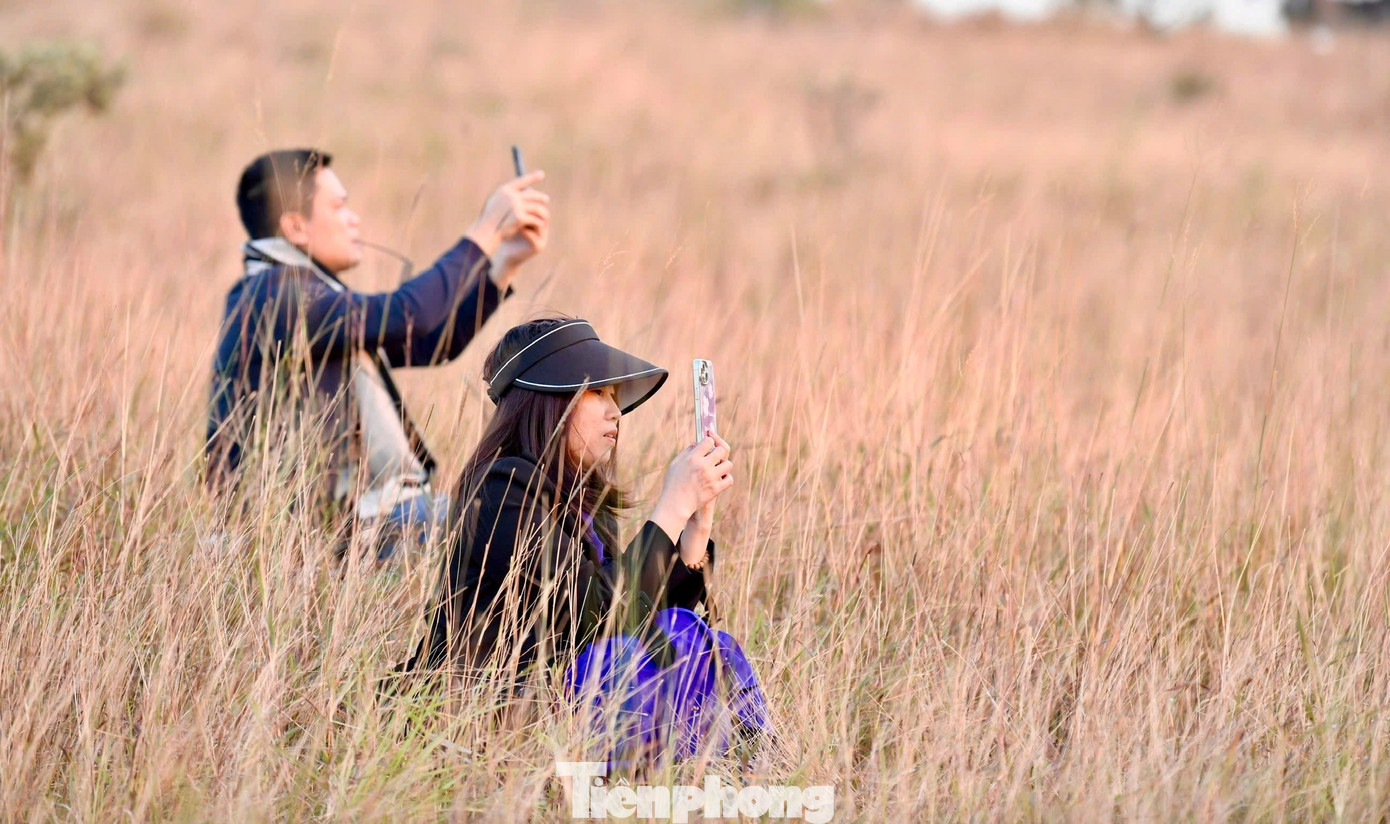 Du khách đổ xô đi cắm trại, check-in ở đồi cỏ phủ màu amp;#34;siêu thựcamp;#34; - 10