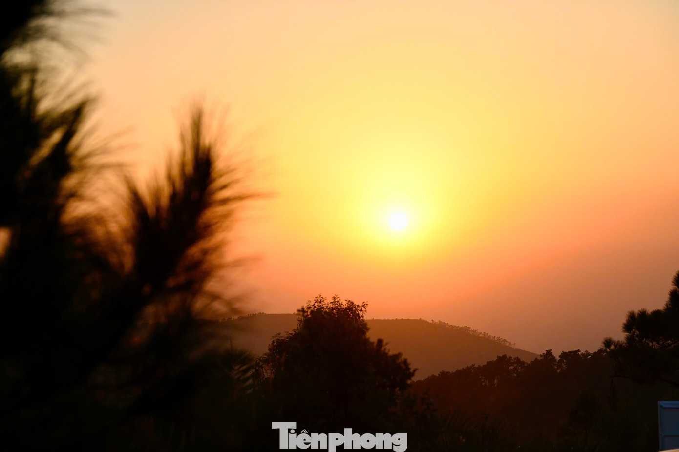 Thời điểm đẹp nhất để ngắm Đồi cỏ cháy, đỉnh Phượng Hoàng là lúc hoàng hôn. Khi mặt trời dần khuất sau những dãy núi, ánh vàng cam phủ lên thảm cỏ tạo nên khung cảnh mềm mại và thơ mộng, khiến nơi đây trở thành điểm check-in lý tưởng cho những ai yêu thích sự bình yên và lãng mạn.