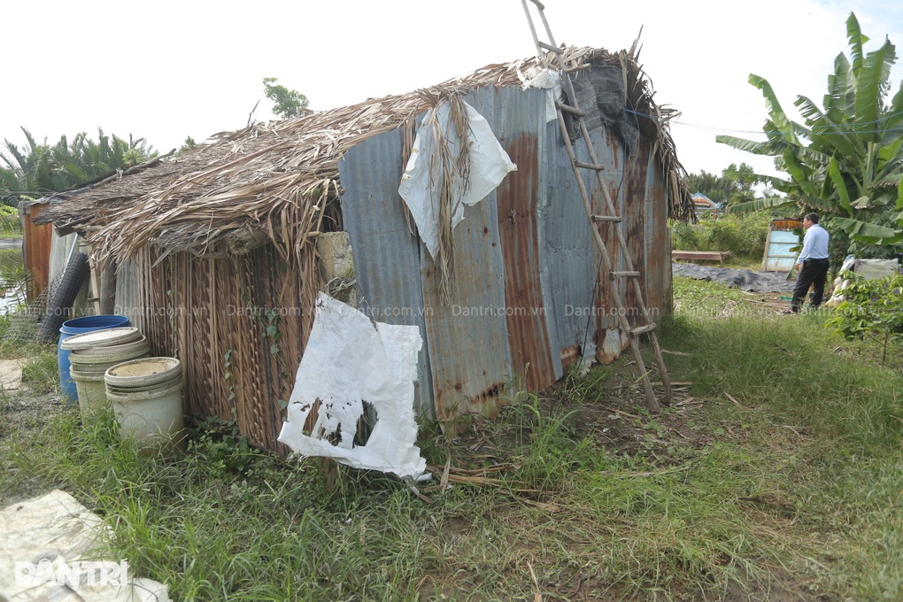 Người đàn ông từng liệt tứ chi sống đơn độc trong căn chòi rách giữa đồng - 4