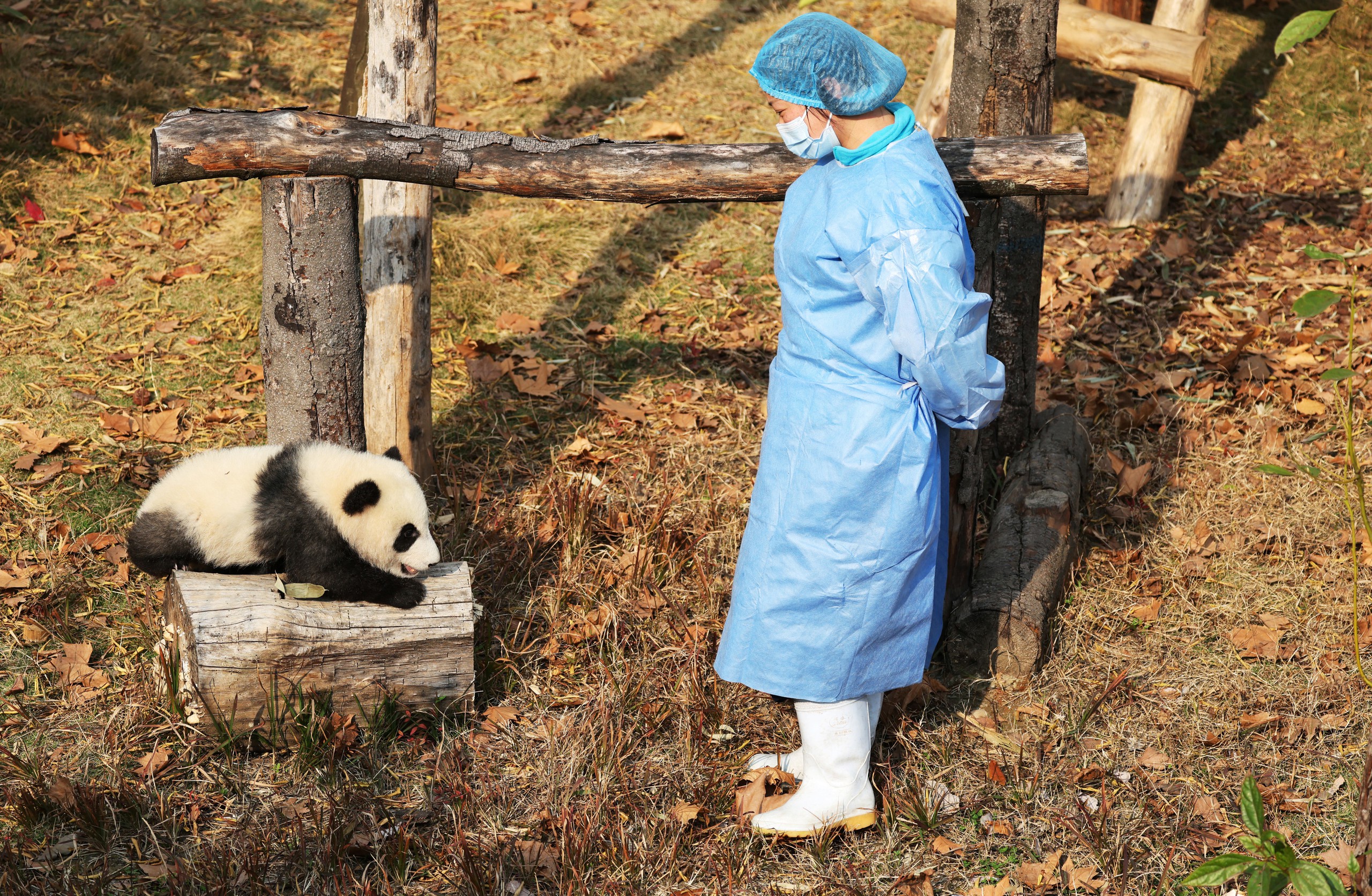 Tin tức thế giới 7-12: Đàm phán Mỹ-Ukraine không đột phá; Máy bay Trung Quốc rọi radar máy bay Nhật - Ảnh 6. Tin tức thế giới 7-12 - Ảnh 1.