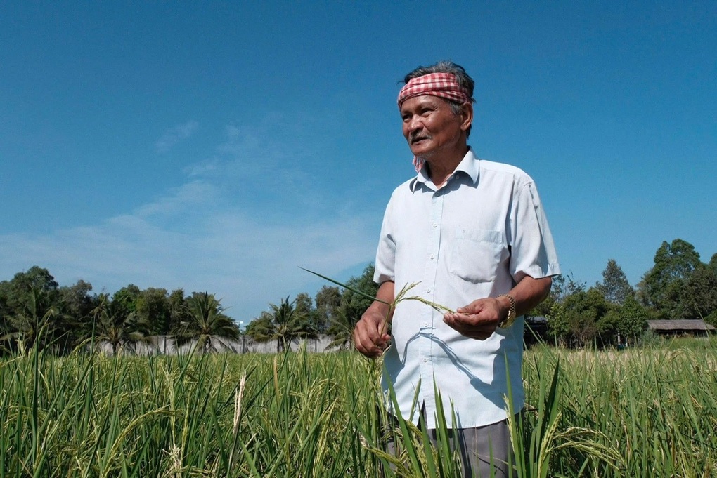 Sau gạo ngon nhất thế giới, Việt Nam sắp ra mắt gạo dược liệu ngừa bệnh tật - 2