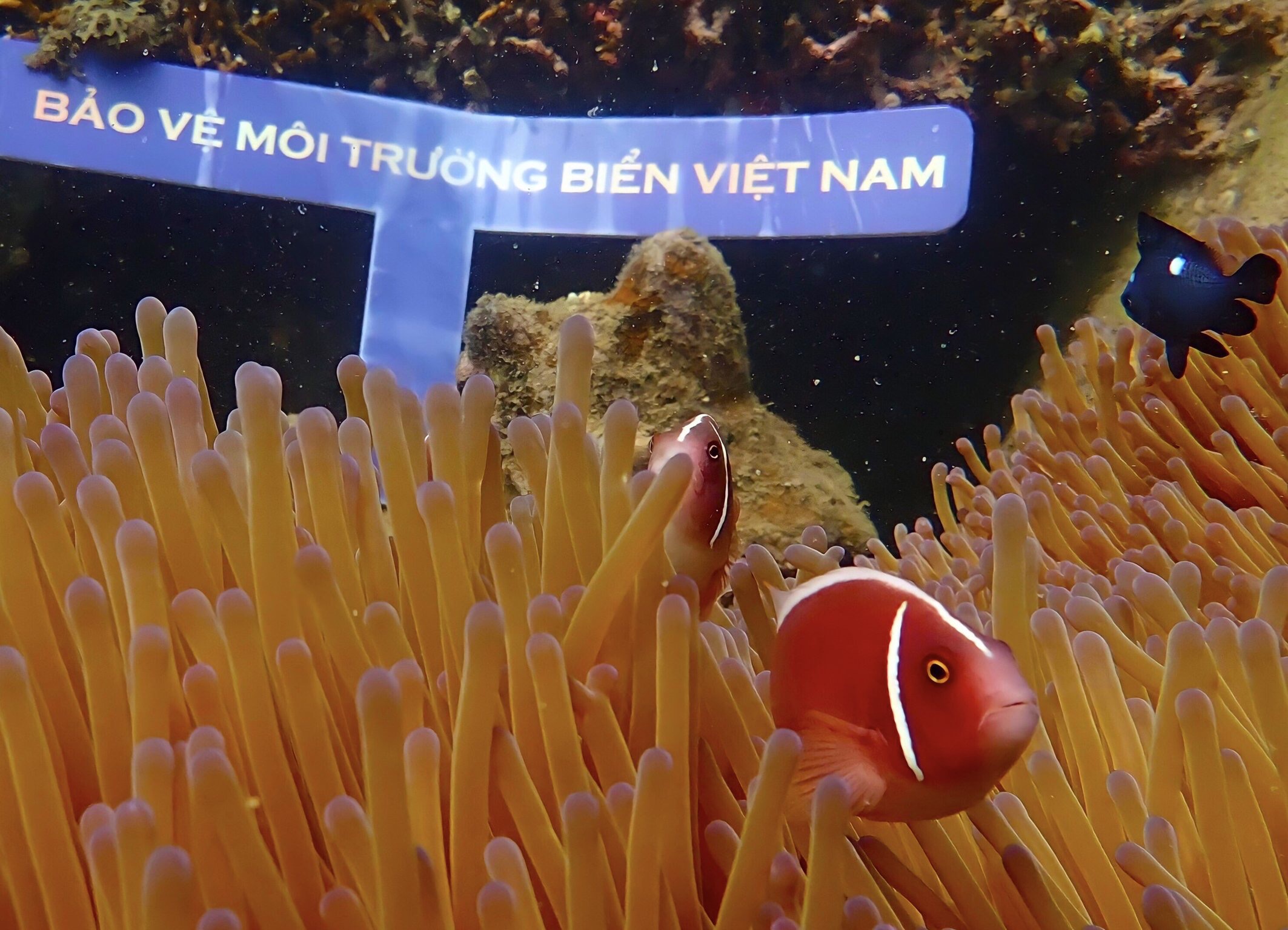 Sự diệu kỳ của lòng nhân ái- Ảnh 3.