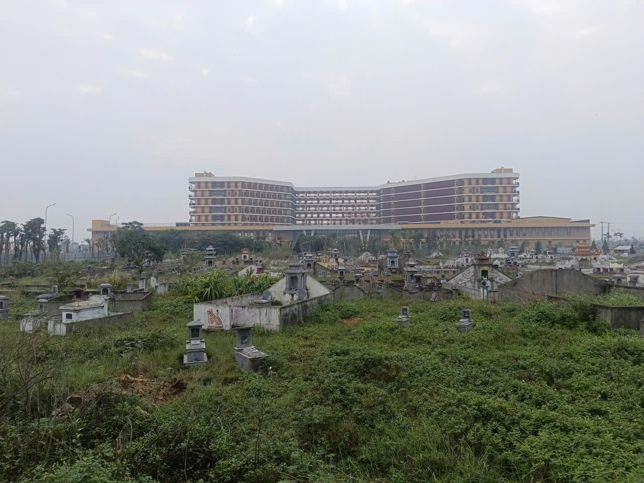 - Ảnh 8. - Ảnh 8.