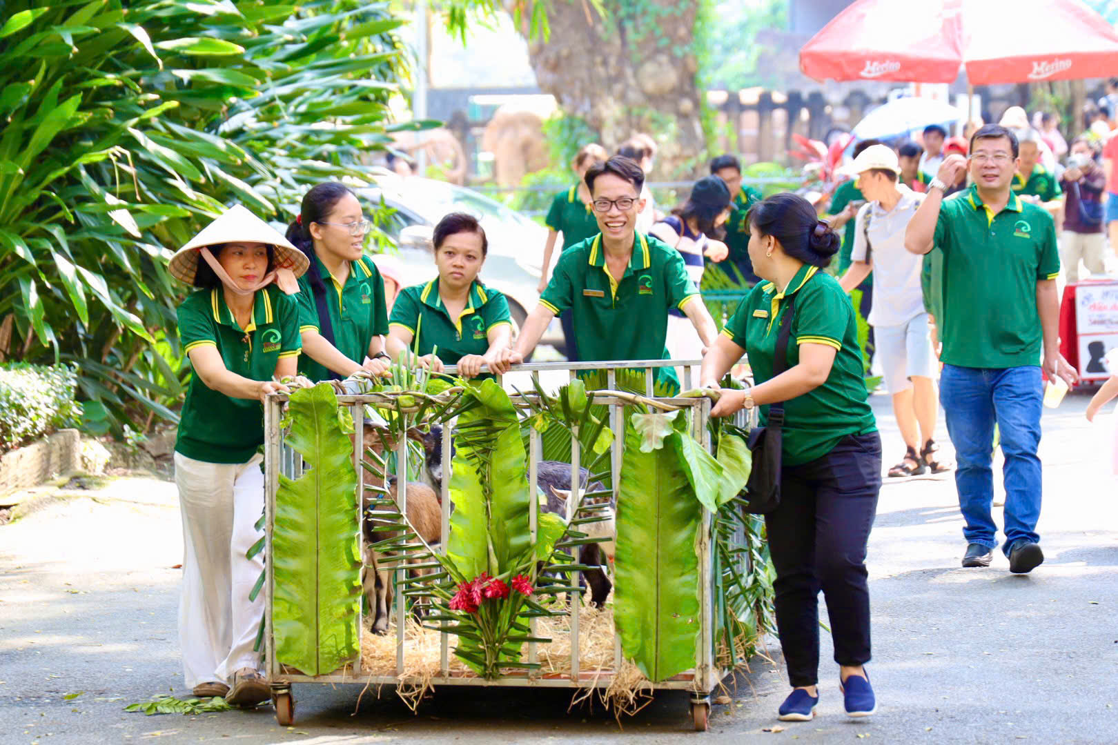 Thảo Cầm Viên: Áo mèo Mika được đấu giá 10 triệu, fan 3 thế hệ “chốt đơn” - Ảnh 6.