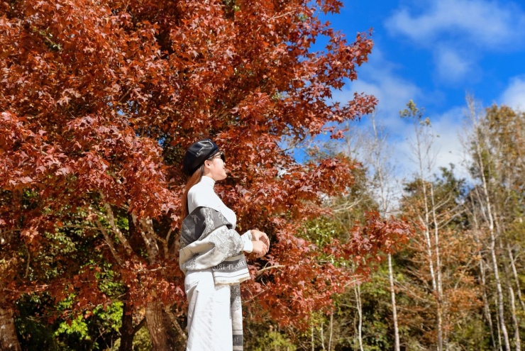 Khu rừng Quảng Trị có khung cảnh đẹp như trời Âu, hút khách tới check-in 4 Hình ảnh chị Lành chụp vào ngày 30/11. Ảnh: Lành Lành