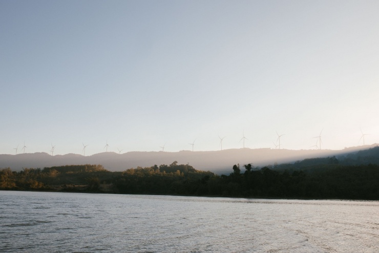 Khu rừng Quảng Trị có khung cảnh đẹp như trời Âu, hút khách tới check-in 7 Khu rừng Quảng Trị có khung cảnh đẹp như trời Âu, hút khách tới check-in - 8