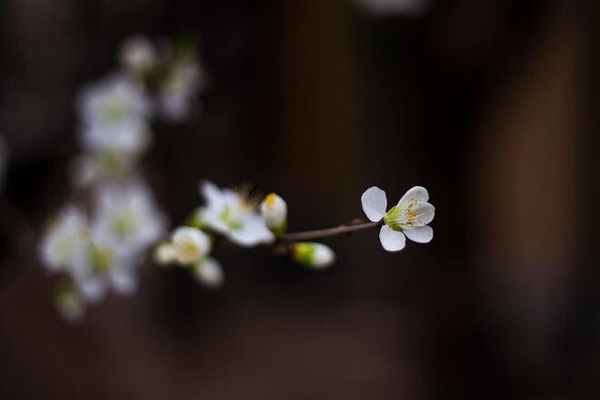 Thấy 3 dấu hiệu này chứng tỏ trời đang muốn giúp bạn 2 Thấy 3 dấu hiệu này chứng tỏ trời đang muốn giúp bạn - 2