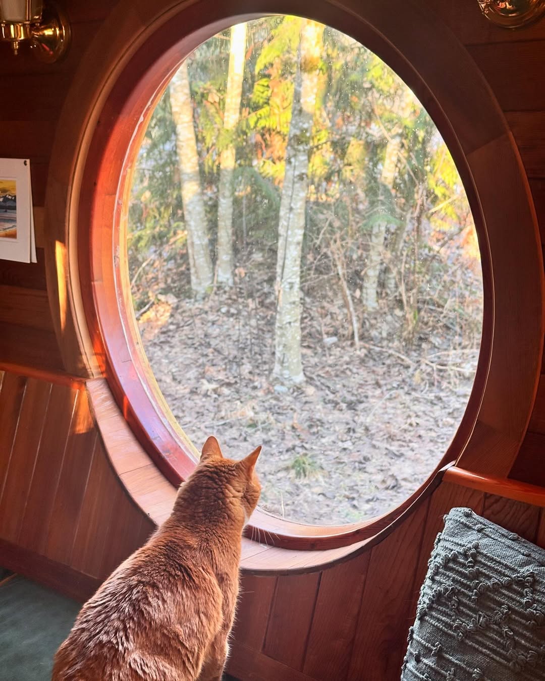 Nhà di động độc đáo người khó mua nhà sẽ thích: Chi phí chỉ ngang Mazda CX-5, như nhà cổ giữa rừng 12 nhà di động - Ảnh 13.