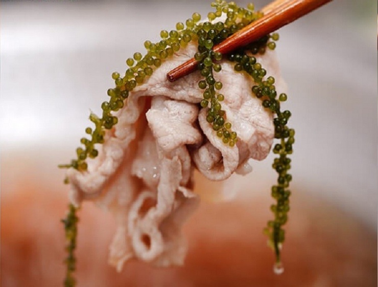 Loại siêu thực phẩm, bảo vệ sức khỏe tim mạch, chống loãng xương có sẵn ở biển Việt Nam, chế biến nhiều món ngon 5 Loại siêu thực phẩm, bảo vệ sức khỏe tim mạch, chống loãng xương có sẵn ở biển Việt Nam, chế biến nhiều món ngon - 4