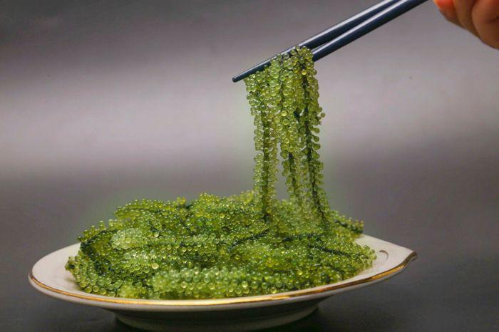 Loại siêu thực phẩm, bảo vệ sức khỏe tim mạch, chống loãng xương có sẵn ở biển Việt Nam, chế biến nhiều món ngon 11 Loại siêu thực phẩm, bảo vệ sức khỏe tim mạch, chống loãng xương có sẵn ở biển Việt Nam, chế biến nhiều món ngon - 10