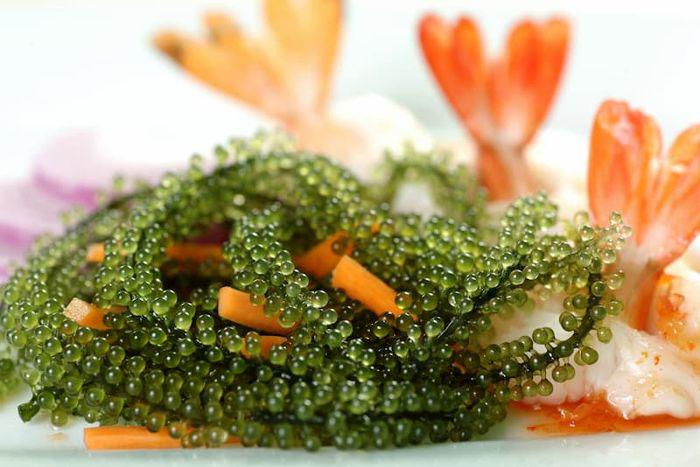 Loại siêu thực phẩm, bảo vệ sức khỏe tim mạch, chống loãng xương có sẵn ở biển Việt Nam, chế biến nhiều món ngon 10 Loại siêu thực phẩm, bảo vệ sức khỏe tim mạch, chống loãng xương có sẵn ở biển Việt Nam, chế biến nhiều món ngon - 9