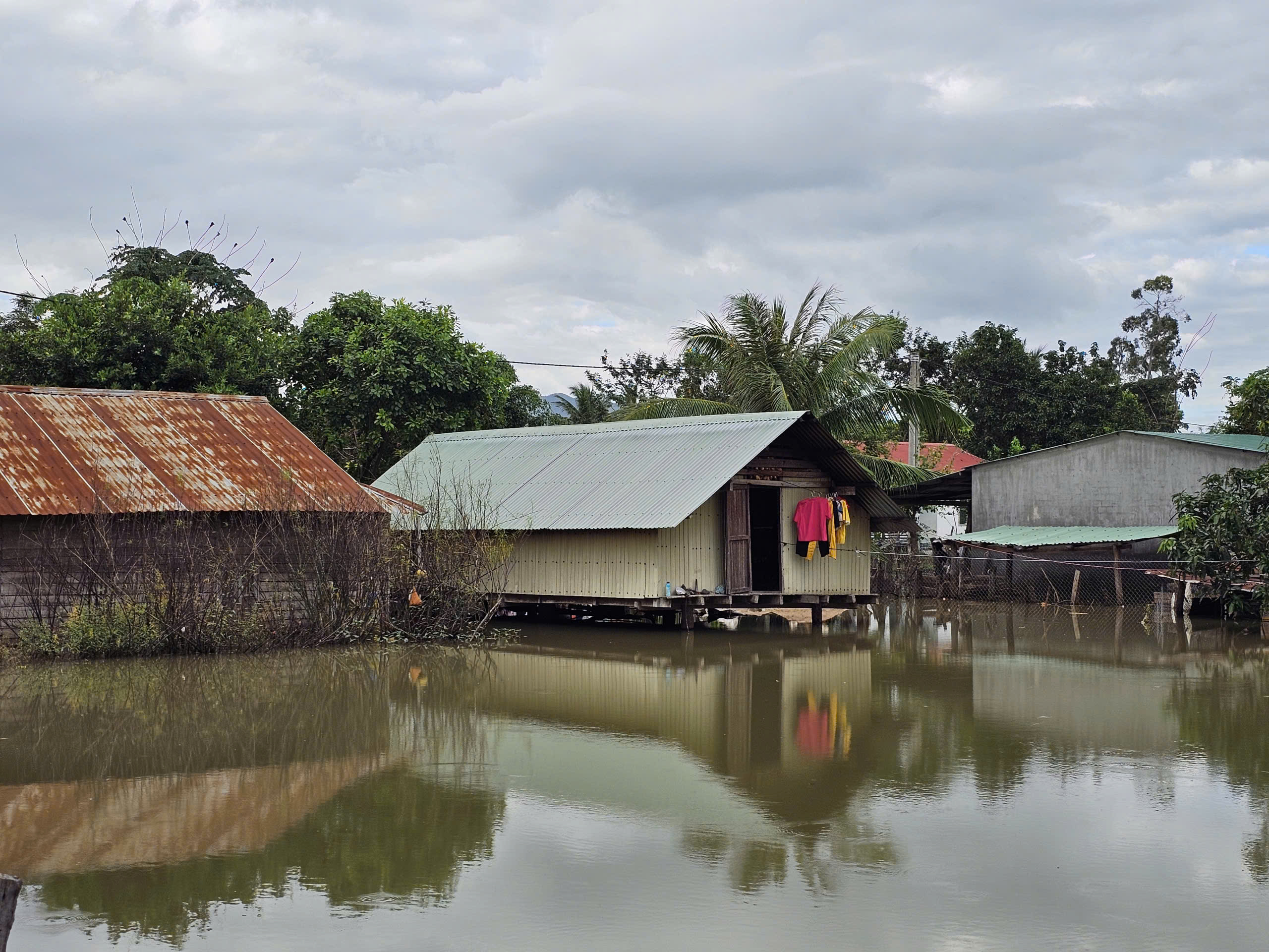 Nước lũ kéo dài ở Gia Lai khiến người dân khốn khổ và khó khăn sinh sống - Ảnh 10. Nước lũ kéo dài ở Gia Lai khiến người dân khốn khổ và khó khăn sinh sống - Ảnh 10.