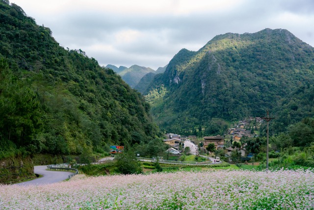 Từ đảo ngọc đến cao nguyên đá, câu chuyện mùa lễ hội cuối năm thú vị- Ảnh 3. Từ đảo ngọc đến cao nguyên đá, câu chuyện mùa lễ hội cuối năm thú vị- Ảnh 3.