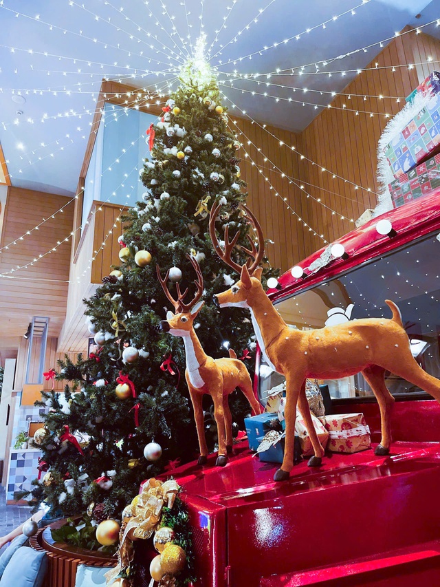 Từ đảo ngọc đến cao nguyên đá, câu chuyện mùa lễ hội cuối năm thú vị- Ảnh 11. Từ đảo ngọc đến cao nguyên đá, câu chuyện mùa lễ hội cuối năm thú vị- Ảnh 11.