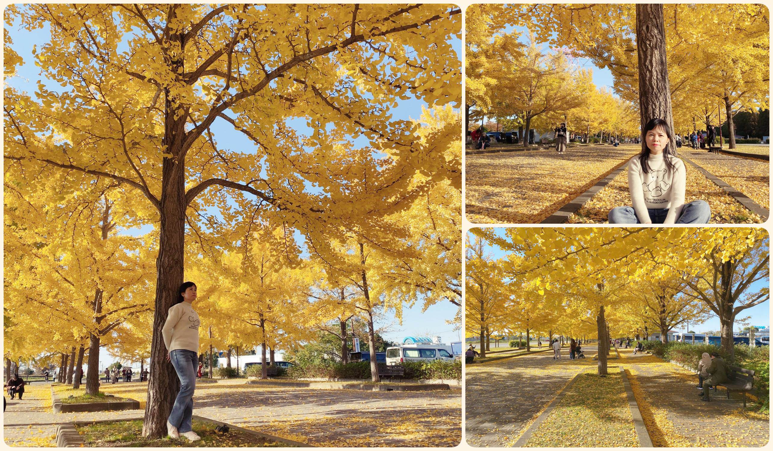 Góc chữa lành cho những tâm hồn xa xứ ở đất nước Mặt trời mọc 8 Đây được coi là thời điểm đẹp nhất năm để ngắm lá vàng tại Kazo Hanasaki Water Park.