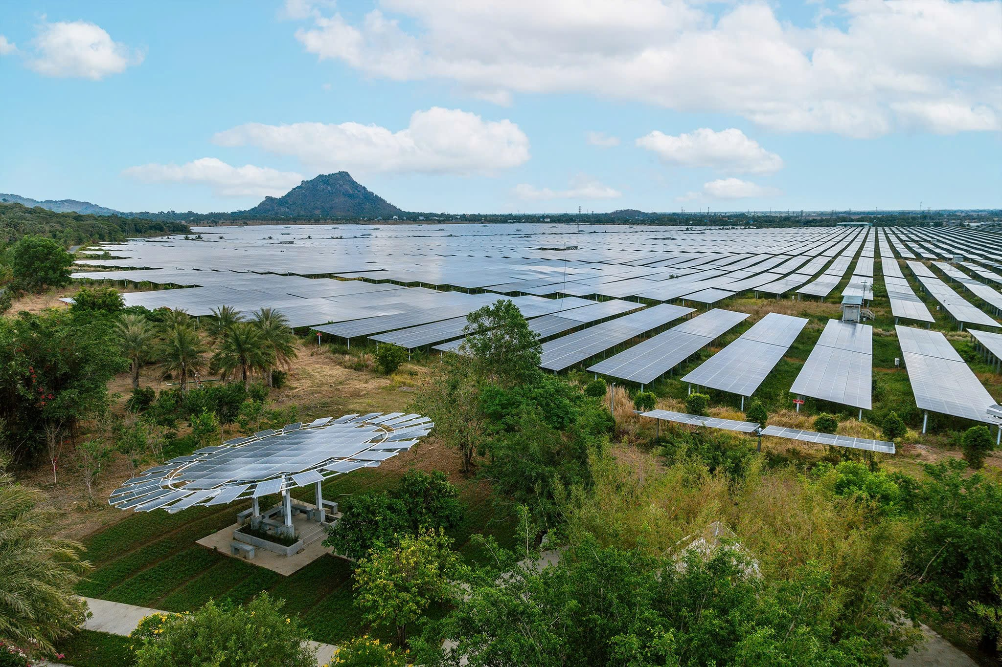 Linh Thạch Phật thủ – huyền ấn ngàn năm giữa Thất Sơn ở An Giang- Ảnh 4.