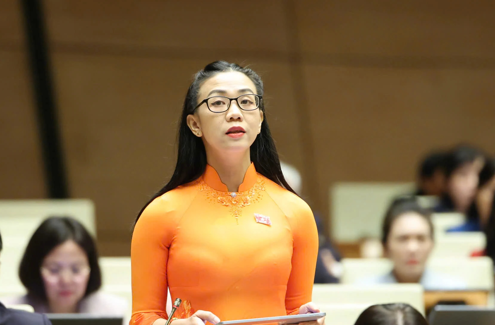 'TP.HCM không thể khoác chung chiếc áo thể chế với các địa phương'- Ảnh 2. 'TP.HCM không thể khoác chung chiếc áo thể chế với các địa phương'- Ảnh 2.