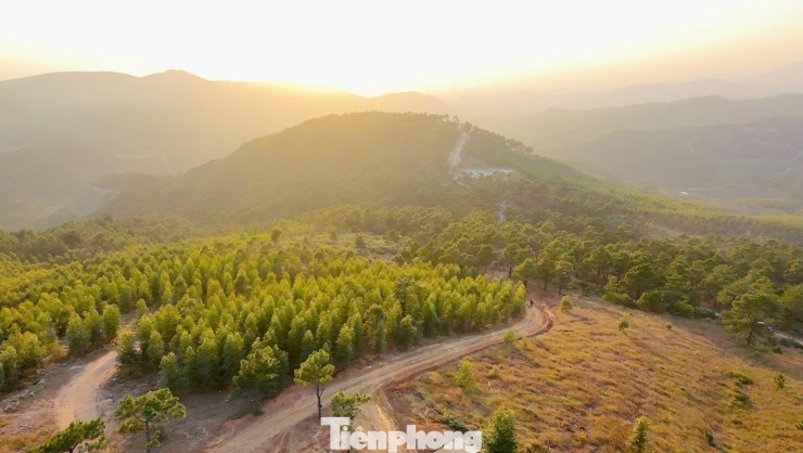 Du khách đổ xô đi cắm trại, check-in ở đồi cỏ phủ màu 'siêu thực' - 1