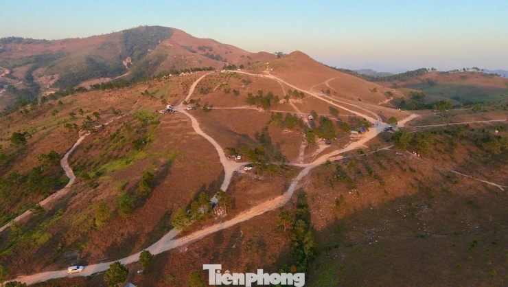 Du khách đổ xô đi cắm trại, check-in ở đồi cỏ phủ màu 'siêu thực' - 3