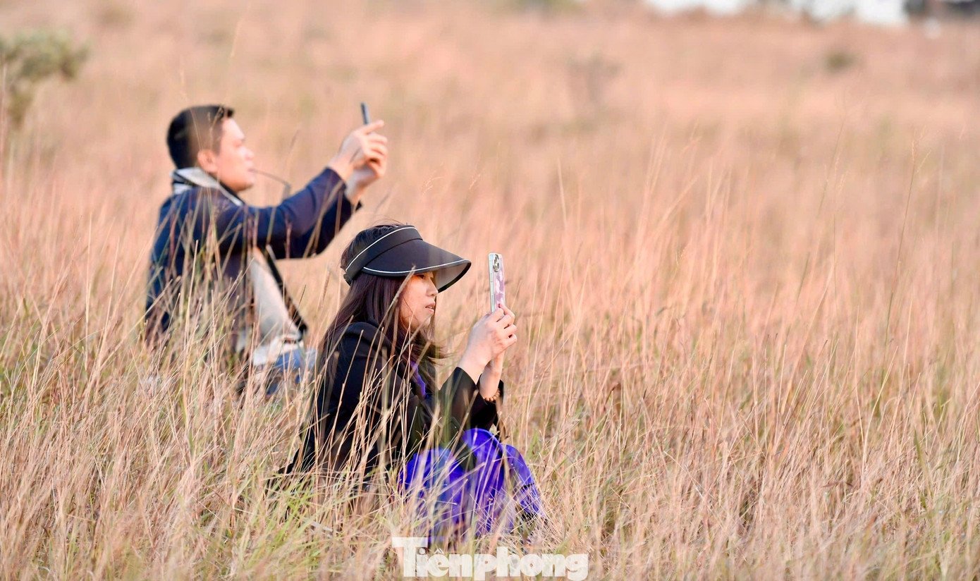 Du khách đổ xô đi cắm trại, check-in ở đồi cỏ phủ màu 'siêu thực' - 10