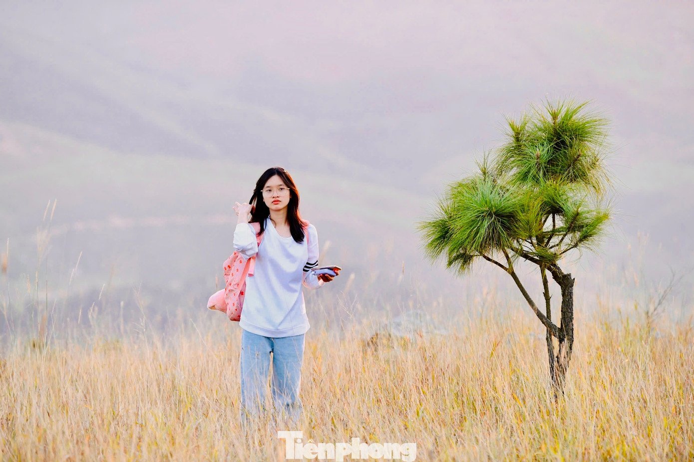 Du khách đổ xô đi cắm trại, check-in ở đồi cỏ phủ màu 'siêu thực' - 11