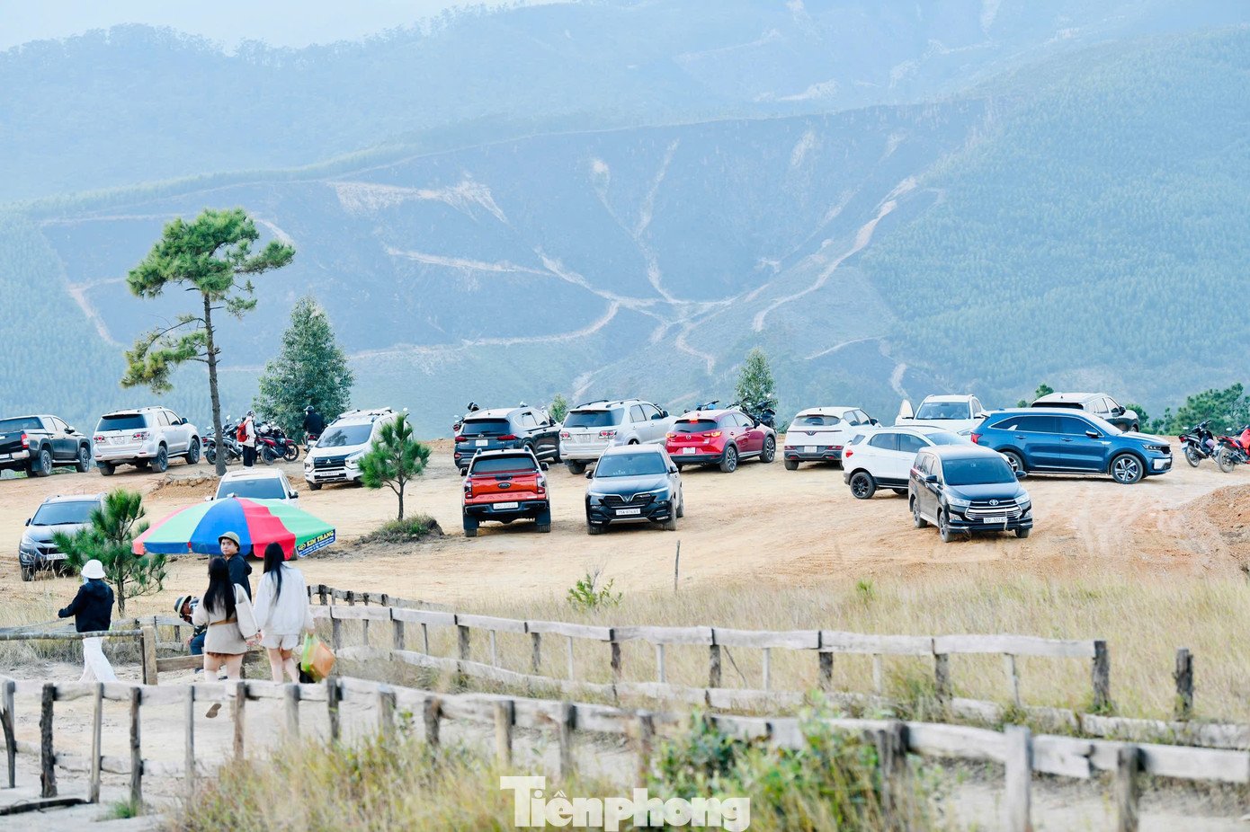 Du khách đổ xô đi cắm trại, check-in ở đồi cỏ phủ màu 'siêu thực' - 13