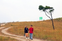 'Đà Lạt thu nhỏ’ ở Quảng Ninh vào mùa đẹp nhất năm, cỏ cháy vàng rực