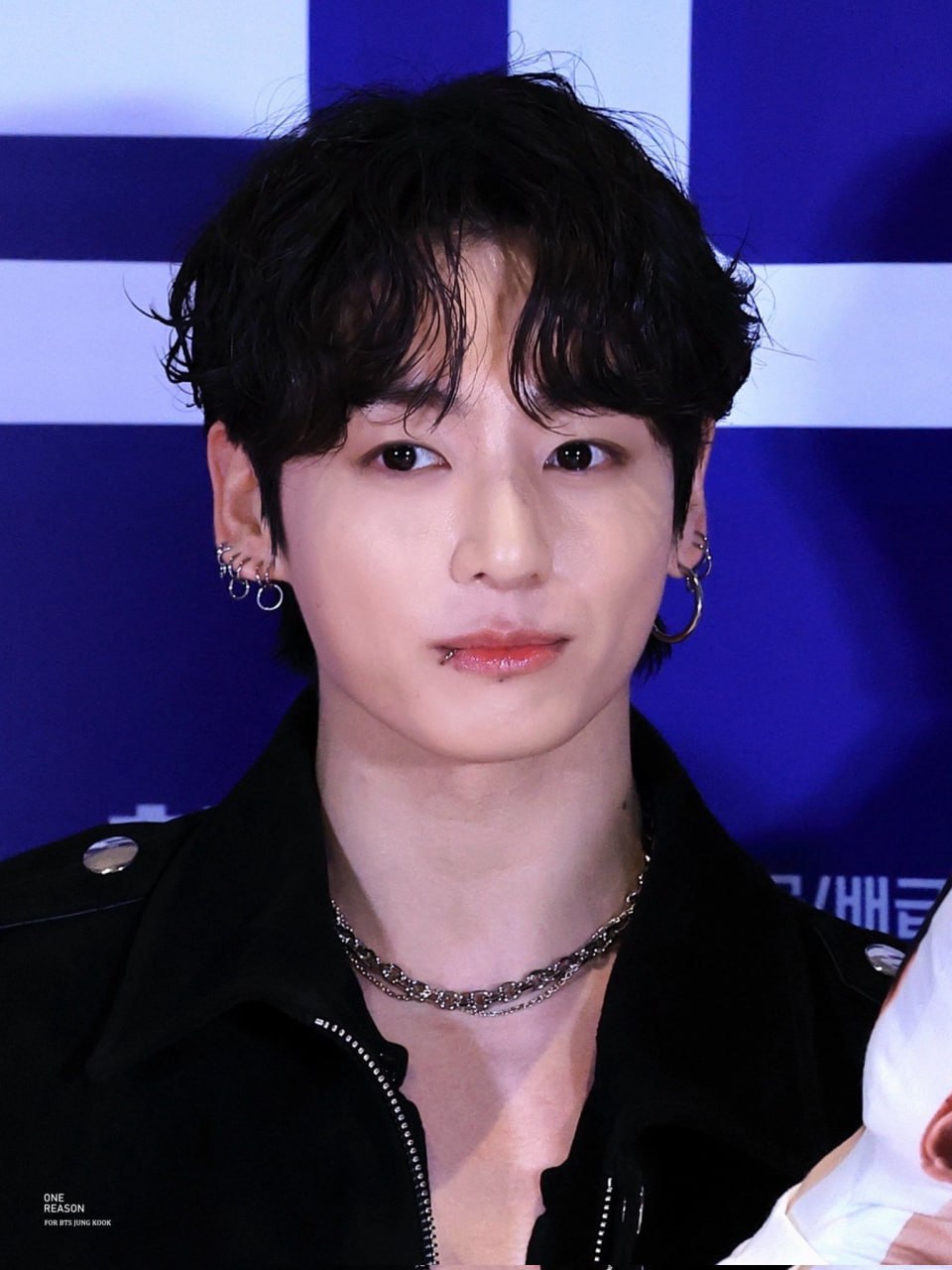 Fan Jung Kook: 