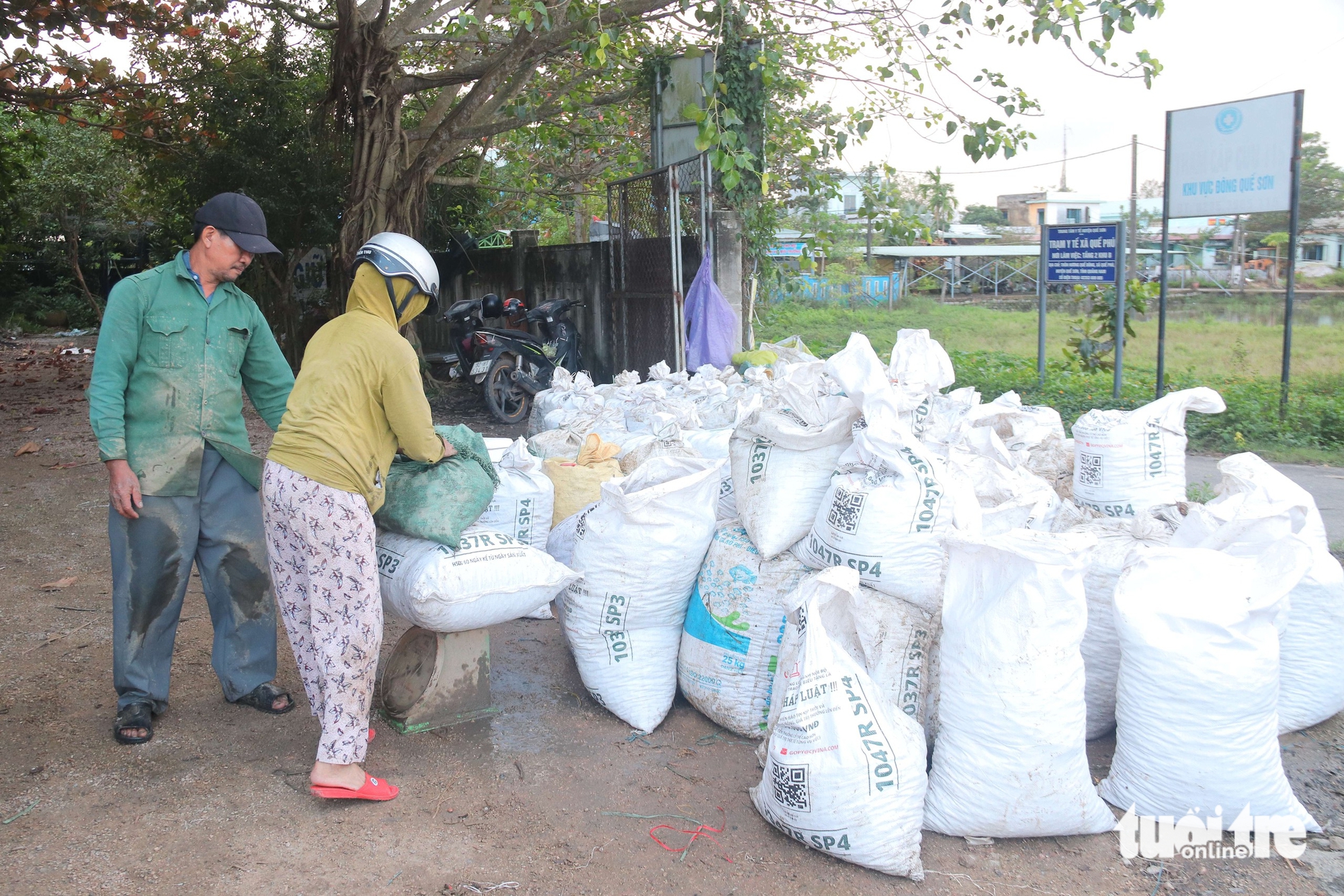Người dân Đà Nẵng bắt cả tạ ốc bươu vàng, thu bộn tiền mỗi ngày 9 Người dân Đà Nẵng bắt cả tạ ốc bươu vàng, thu bộn tiền mỗi ngày - Ảnh 10.