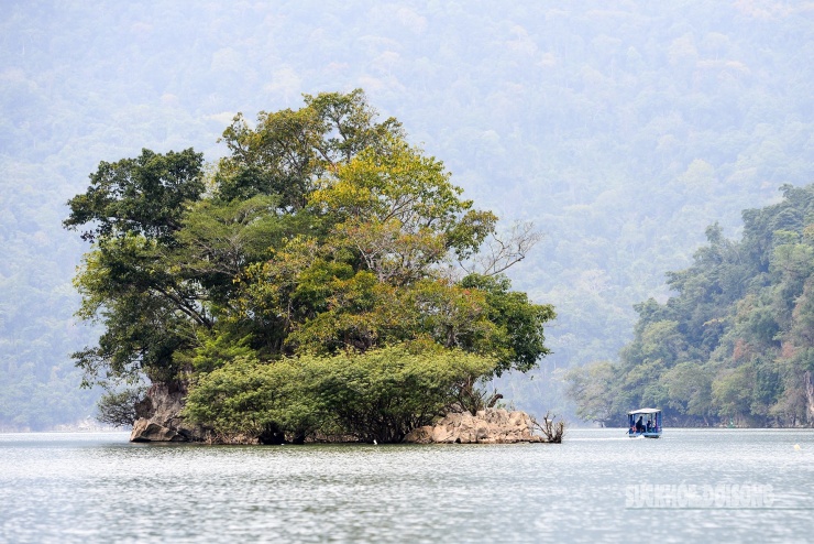 Rừng cổ thụ khoác áo mới bên hồ nước ngọt đẹp nhất thế giới 5 Rừng cổ thụ 'khoác áo mới' bên hồ nước ngọt đẹp nhất thế giới - 4