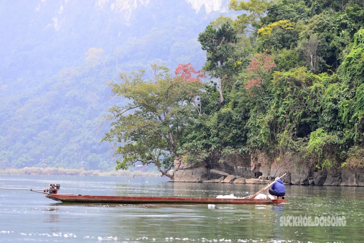 Rừng cổ thụ khoác áo mới bên hồ nước ngọt đẹp nhất thế giới 13 Rừng cổ thụ 'khoác áo mới' bên hồ nước ngọt đẹp nhất thế giới - 12