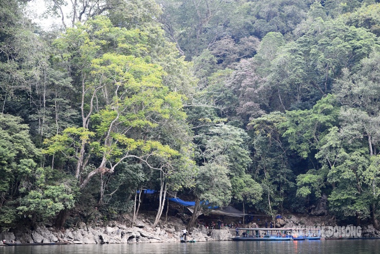 Rừng cổ thụ khoác áo mới bên hồ nước ngọt đẹp nhất thế giới 14 Rừng cổ thụ 'khoác áo mới' bên hồ nước ngọt đẹp nhất thế giới - 13