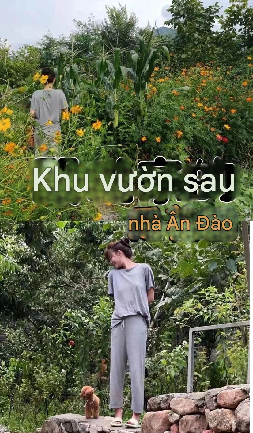 Biệt thự của Biệt thự của